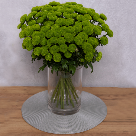 Zelená chryzantéma
