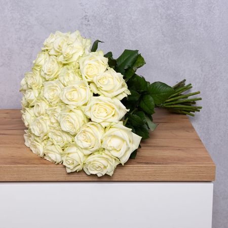 Bílá růže 70 cm