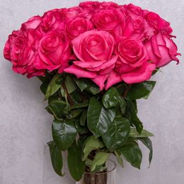 Sytě růžová růže 70 cm