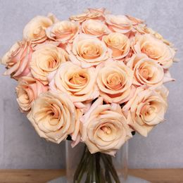 Lososová růže 70 cm