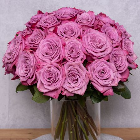 Růžovofialová růže 70 cm
